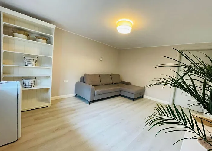 Delsool Mamaia-boutique * ママイア